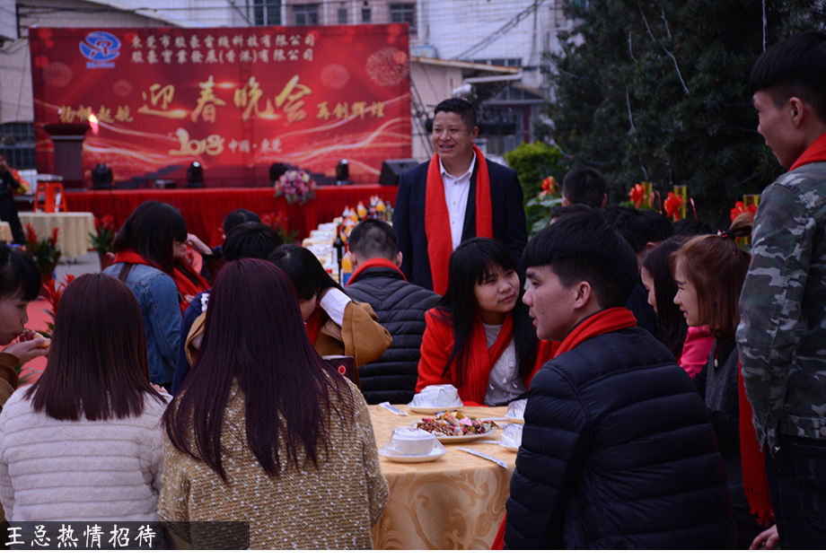 TG反波胆年会
