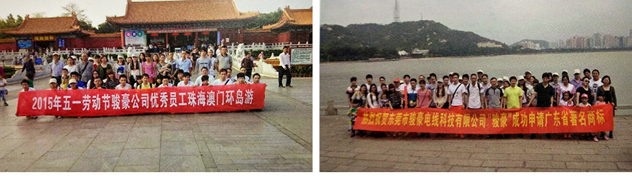 TG反波胆团队