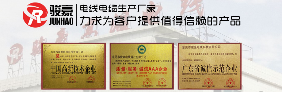 TG反波胆电线荣誉证书展示