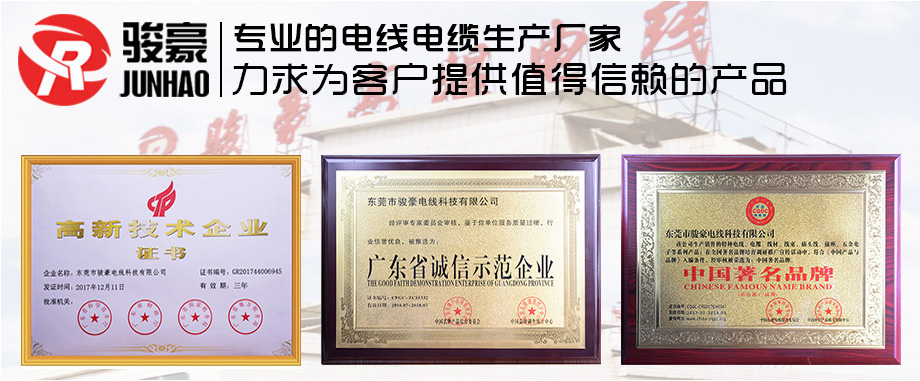 TG反波胆电线荣誉