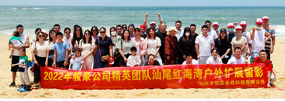 TG反波胆电线2022年汕尾行